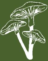 Revive Counseling LLC Logo Large