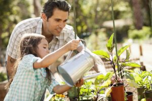 Girl with father using watering can in community garden. Men helping in community