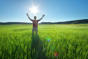 Man in green meadow and sunshine.